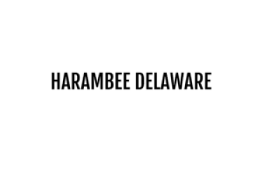 Harambee Delaware logo